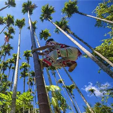 谷地通道滑索新攻略：揭秘高效连接方案秘籍