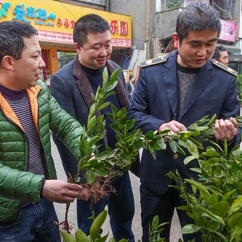 检疫区末站检测工具操作攻略揭秘