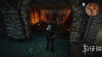 《巫师3》狮鹫猫熊套装升级攻略：全新图纸解析与强化技巧揭秘