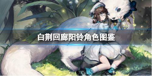 《白荆回廊肉蚀队最佳烙痕搭配攻略》