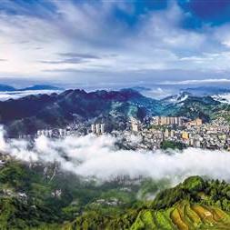 武陵种植蓝图布局攻略：打造高效产线新秘籍