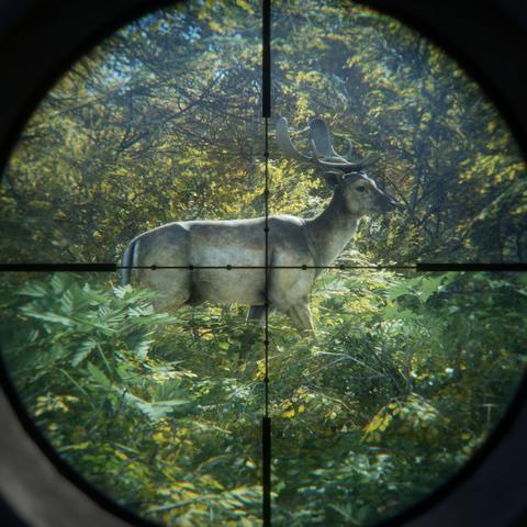 《荒野猎人武器秘籍：全武器攻略与进阶推荐》