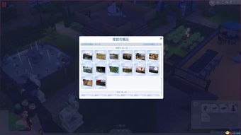 全面解析：模拟人生4技能攻略与高效盈利技巧揭秘