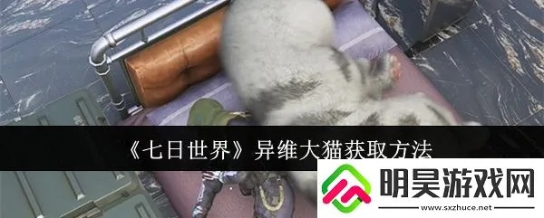 《七日世界》异维大猫攻略：轻松获取方法揭秘