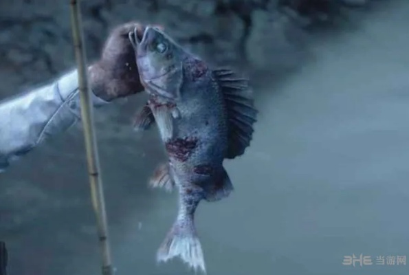 《荒野猎人钓卵弓鳍鱼攻略：高效钓法大揭秘》