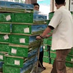 《羊羊大世界》通关秘籍！2月15日《羊了个羊》攻略大揭秘