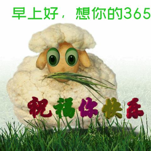 《无畏契约》不死鸟PrxJINGGG微风岛攻略：职业选手亲授技巧