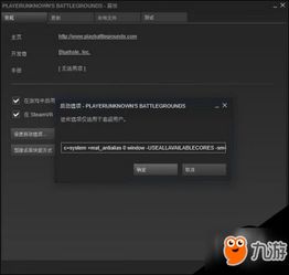 《绝地求生A卡N卡帧数对决：性能大揭秘》