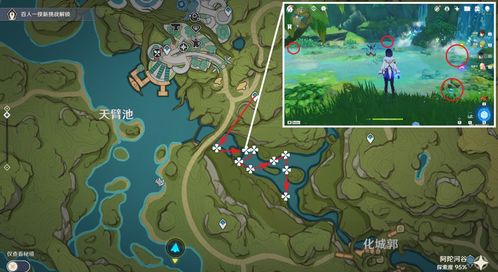 《原神》3.3版本攻略：独家揭秘绯樱绣球高效收集路线