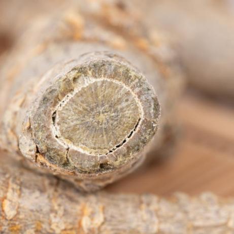 《全境封锁》1.1补丁PC版新光照系统曝光！解锁视觉盛宴