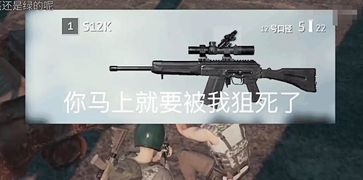 全自动压枪技巧解析：高倍镜绝地求生压枪秘籍大公开