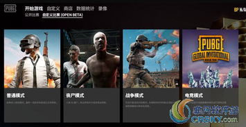 《绝地求生》自定义模式深度解析：设置技巧全攻略