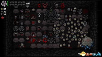 《以撒的结合胎衣》深度解析：揭秘被动道具全新价值解析