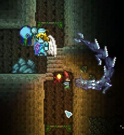 《泰拉瑞亚》新宠多乐猫+物美装备，探索未知宝藏！