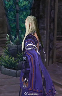 《仁王3》白发少女捏脸攻略，解锁独特魅力新玩法