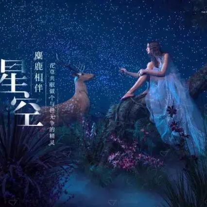 幻想生活i时之弓:独家揭秘,获取素材攻略大公开！