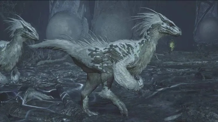 《怪物猎人荒野》护鹭鹰龙地图攻略：狩猎秘境揭秘