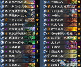 《炉石传说》萨卡组代码攻略：多系卡组实战解析