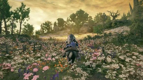 《艾尔登法环》DLC黄金树之影：轮椅战灰双刺毒花攻略揭秘