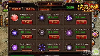 荆棘坦克新战术，喵喵结合玩法攻略解析