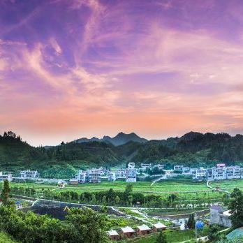 武陵省协议高效种田布局，揭秘田地优化新策略