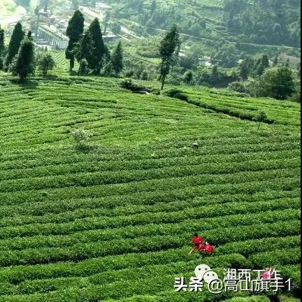 《明日方舟》武陵基建毕业攻略：深度解析全新蓝图优化策略