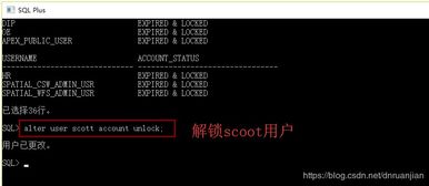 神功护体机制暗改真相，当前版本T0级减伤体系实测数据曝光