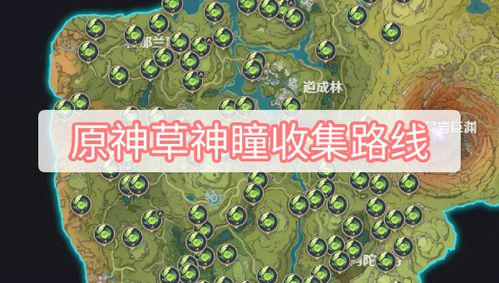 草神瞳攻略：高效收集路线大揭秘，轻松解锁新价值