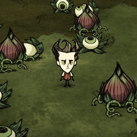 《饥荒威尔逊春季开局攻略》新手必看生存技巧