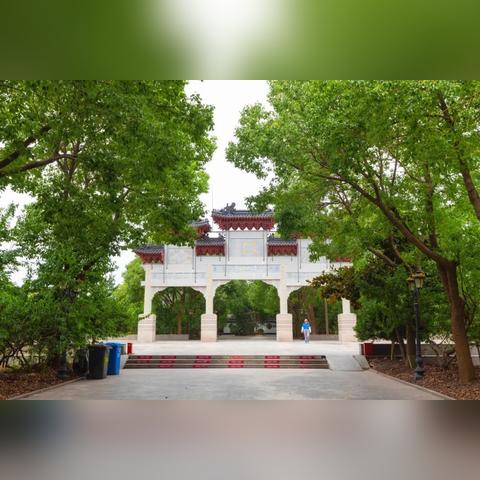 《桃花源记2》夏末狂欢：新服开启，限时欢享！