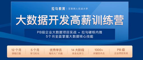 2025年黄油单机十大类型实战指南，从入门到精通的终极选购策略
