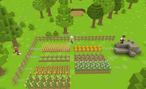 木石世纪2026生存指南，5个反直觉开局策略让村庄崩溃率降低90%