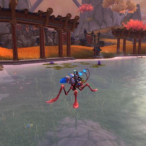 熊猫人声望速刷终极指南，7天崇拜全阵营2025最新路线