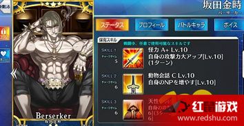 坂田金时强度解析，2025年FGO金时最新配队与实战技巧全攻略