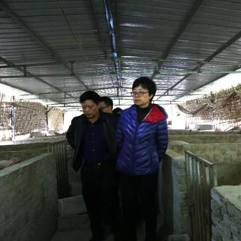 一、阶段机制与时间节点