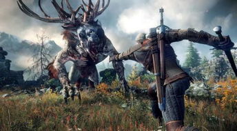 次世代版《巫师3》不更新,轻松体验老版本游戏攻略分享 次世代版《巫师3》不更新,轻松体验老版本游戏攻略分享