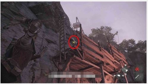 《瘟疫传说安魂曲》短刀攻略：高效收集秘籍大揭秘