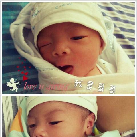 《刀刀兄弟》新手攻略：前期运营必看技巧