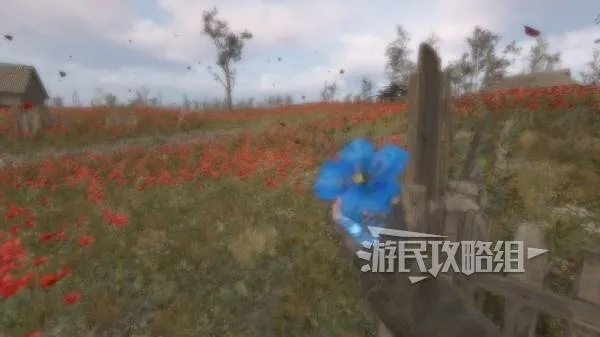 潜行者2怪异的花在哪？怎么获取？这里有详细答案！