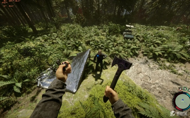 想提升森林之子游戏体验？这些实用小 Tips 别错过！