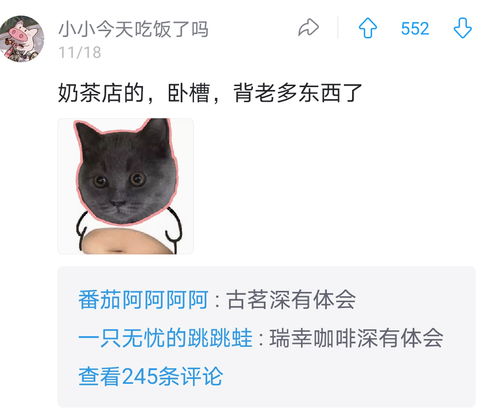 想知喵喵的结合哪个职业强？各职业强度及特点深度评析来了