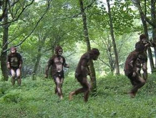 森林之子女野人快速驯服入队攻略，轻松搞定女野人加入队伍！