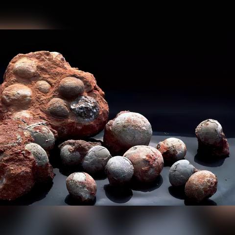 《我的世界》原版及MOD怪物图鉴介绍 植物大战僵尸及突变生物MOD图鉴