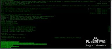 24人火炮兰什么时候刷？2025年独家刷新算法与服务器时间同步攻略