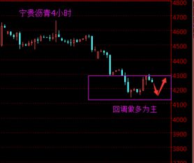 别乱点了！人生重开器天赋搭配黄金法则与概率黑箱揭秘
