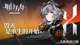 明日方舟溪子照片类型全解析，从立绘到表情包的完整攻略