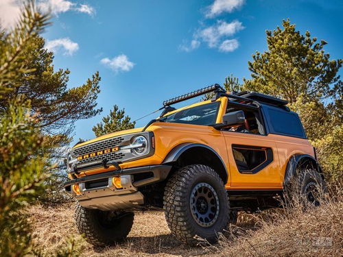 2025福特越野赛车终极选购，Bronco Raptor沙漠实战全解析