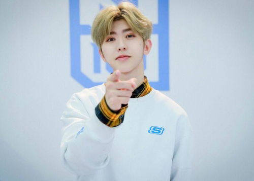 正太索索与小珍珍怎么配队？2025顶级玩家独家实战指南