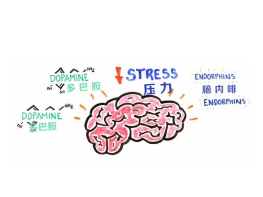 点击游戏的本质，数字多巴胺的精密设计