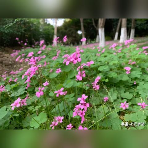 《揭秘！那些外表光鲜实则内容空虚的电子游戏》
《电子游戏大揭秘：外表华丽，内容空洞的真相》
《盘点那些外表华丽，实则内容空洞的流行游戏》
《揭秘电子游戏圈：外表华丽，内容空洞的爆款游戏》
《电子游戏内幕：外表华丽，内容空洞的知名游戏盘点》